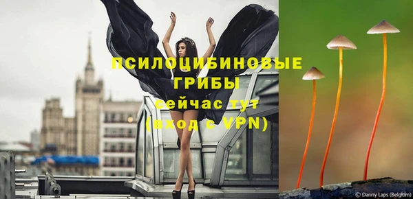 меф Инсар