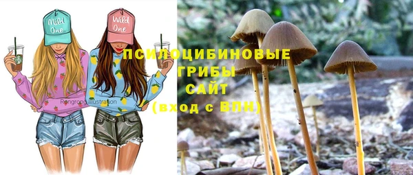 mdma Инта