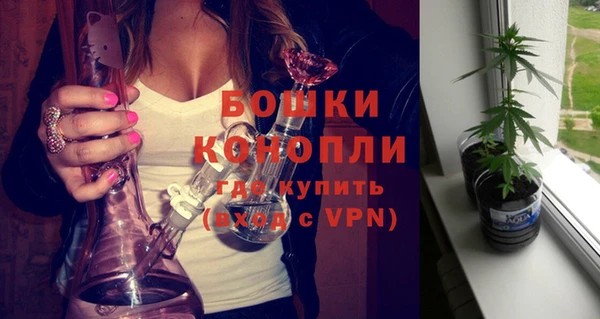 соль курить ск Каменка
